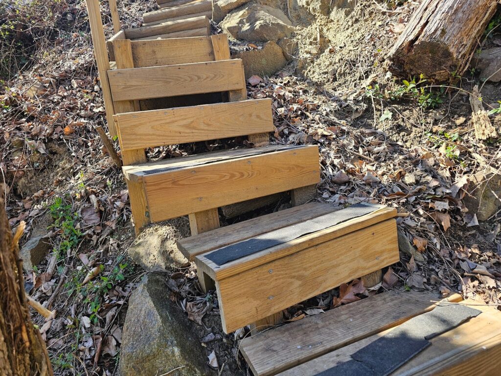 Elegant wooden steps enhancing a contemporary interior