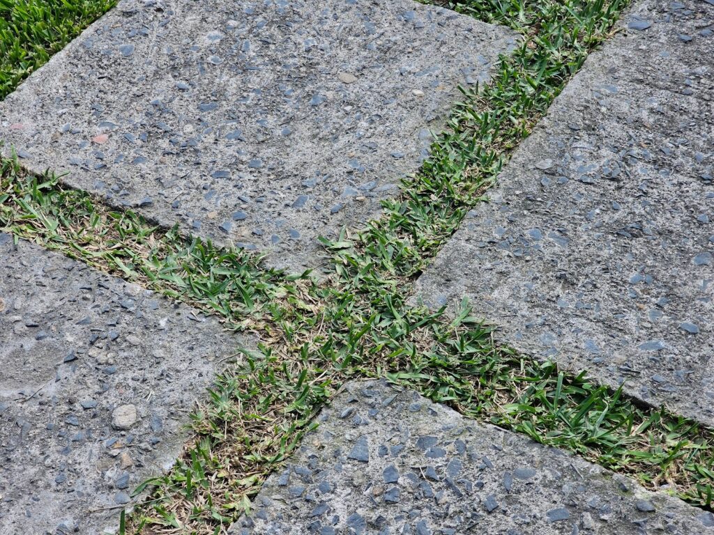 Finished Concrete Pavers walkway with modern look