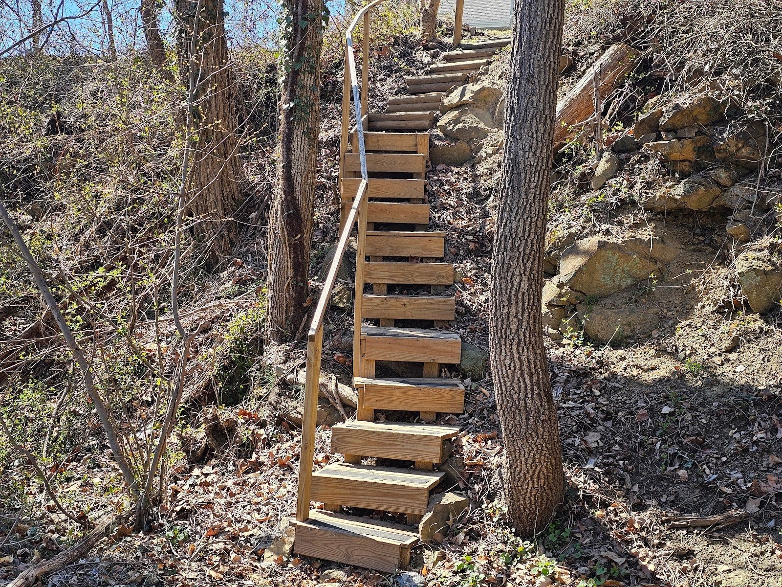 Modern wooden steps with sleek design in a contemporary home