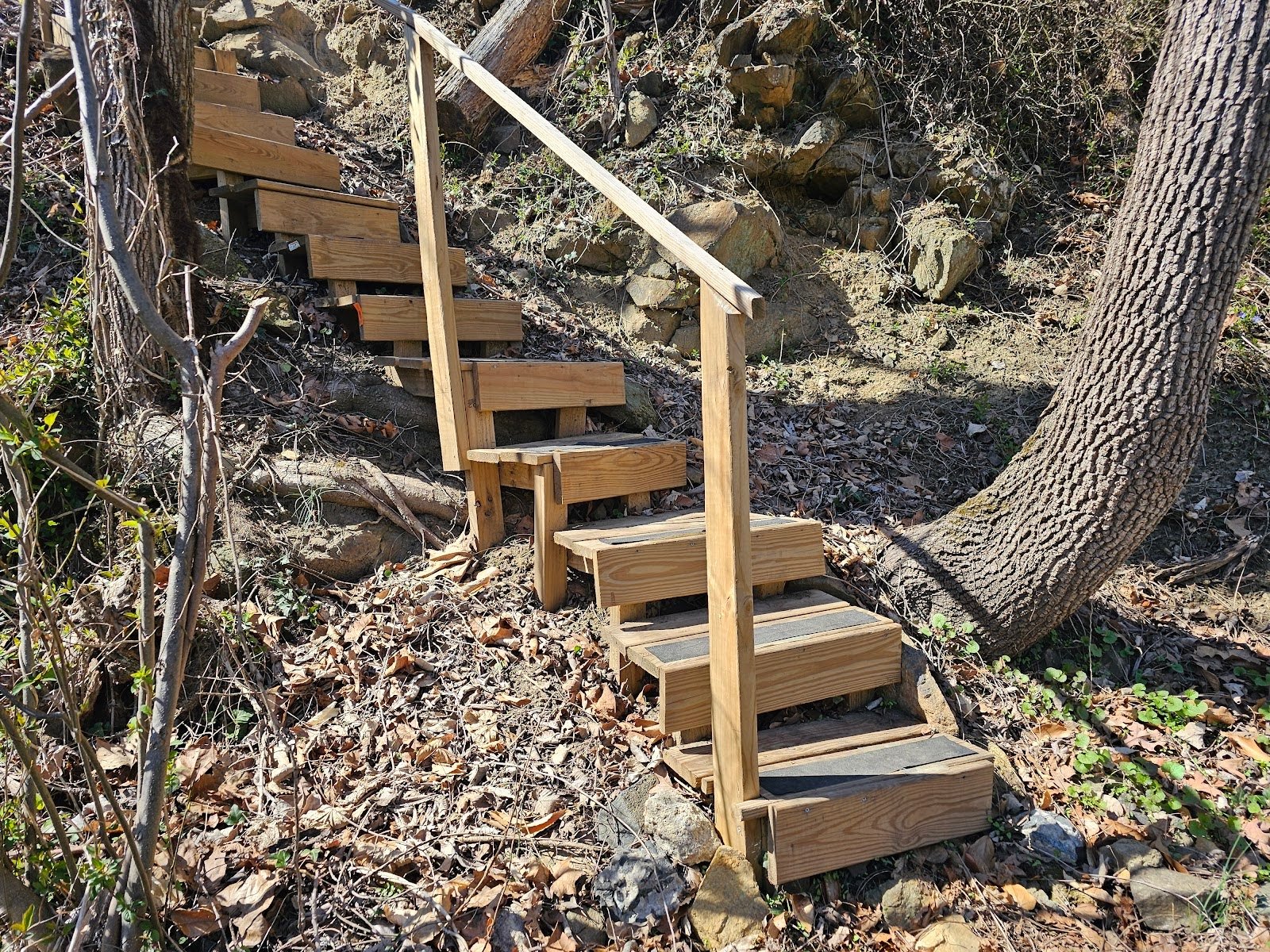 Wooden steps with modern floating staircase design