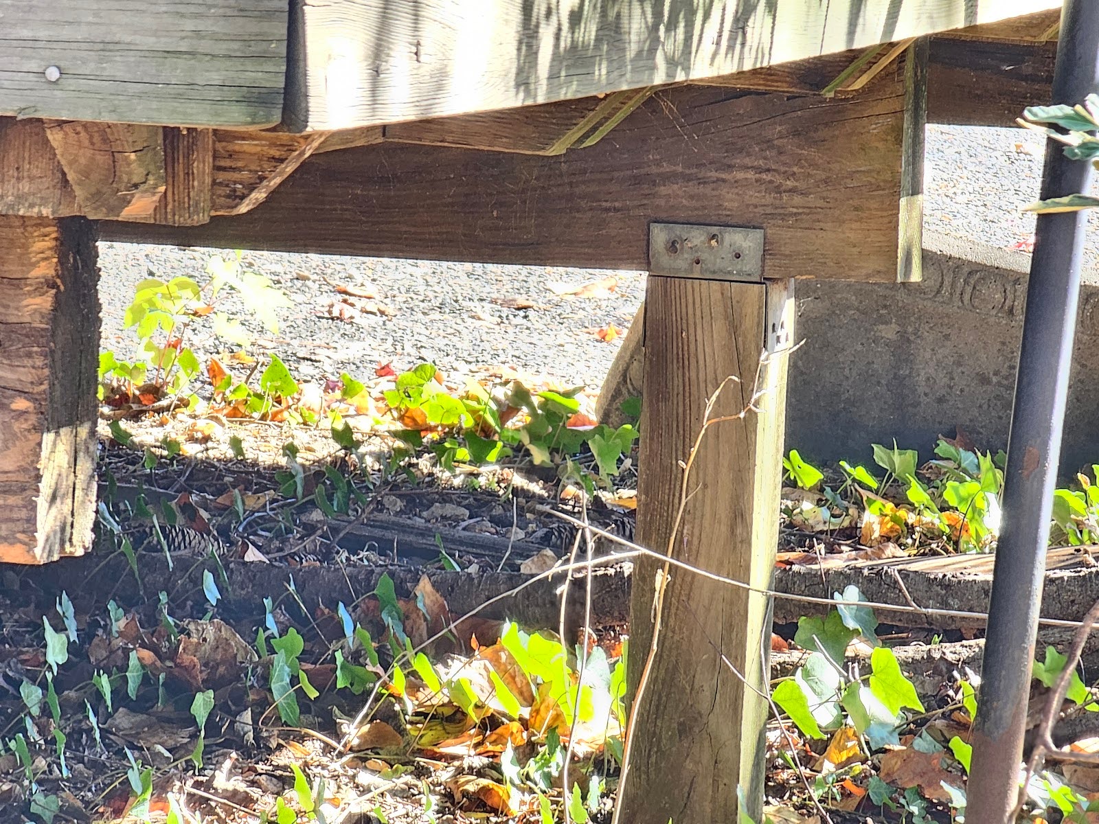 Joined together - proper adhesive -fastening patterns