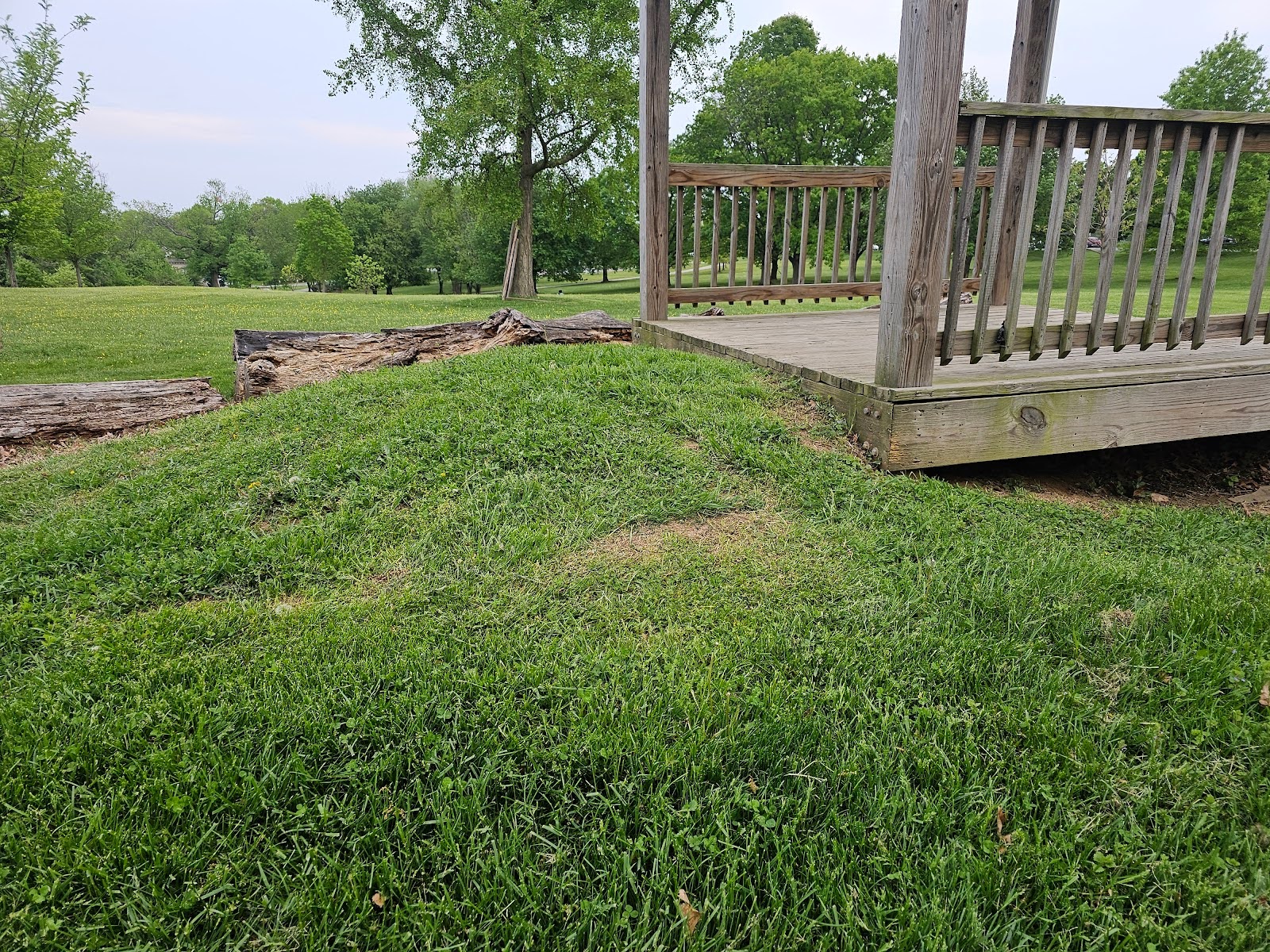 the deck sits almost level to the adjacent ground - Gazebo Deck