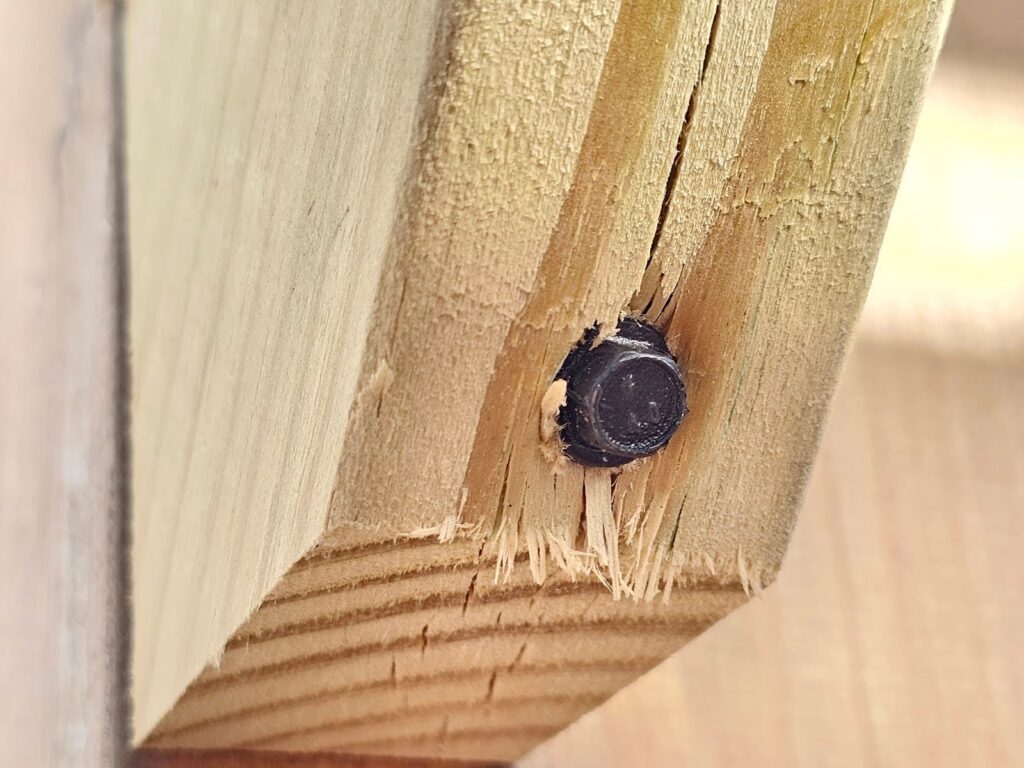 wood hasn't completely split a crack