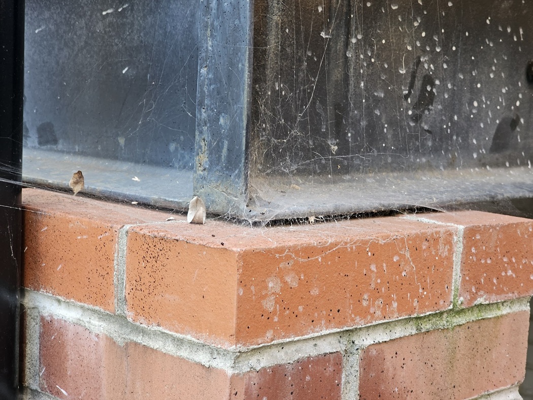 I-beams meet on top of the column at a miter joint
