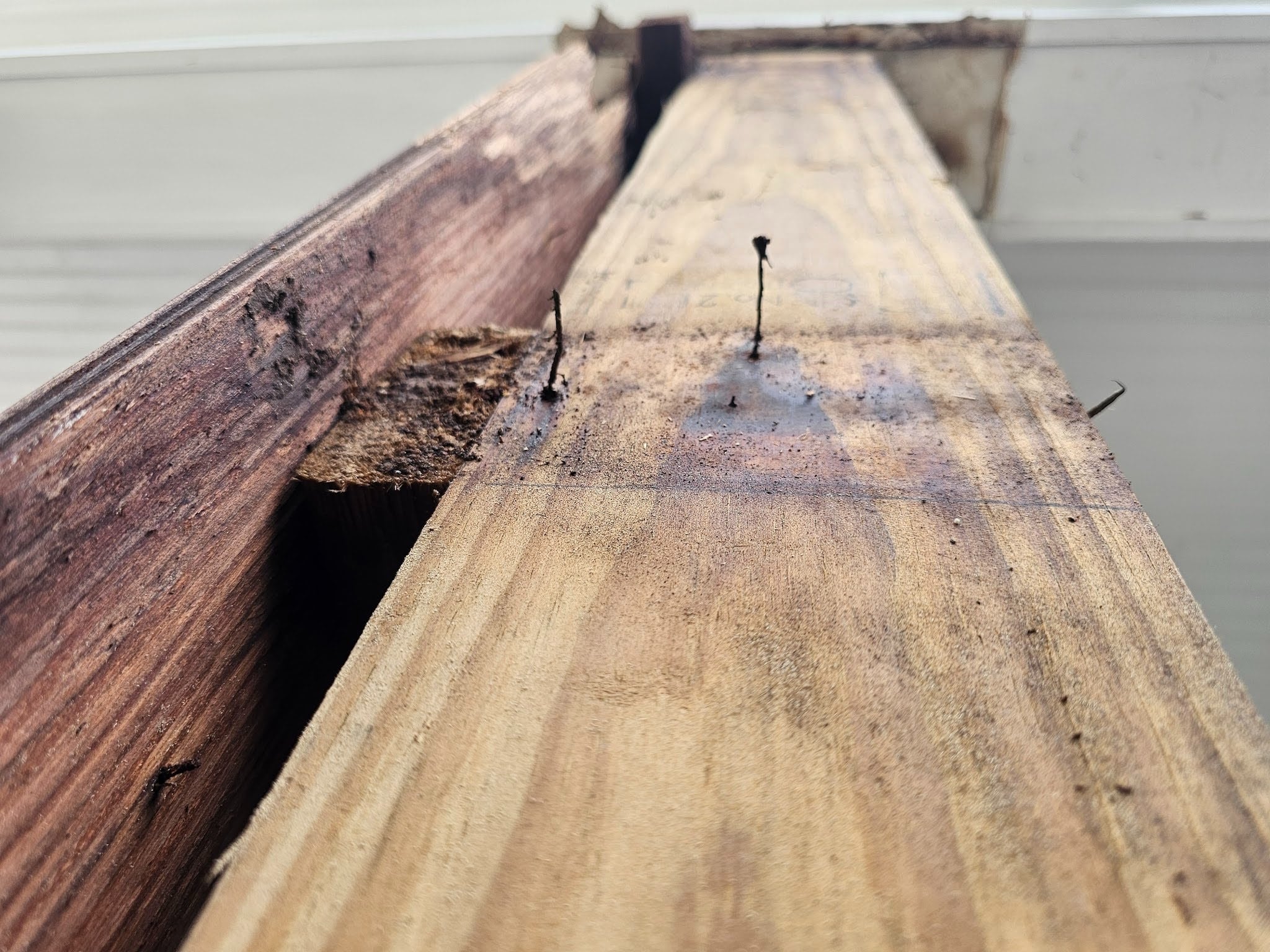 Remnants of those rotted - rusted nails