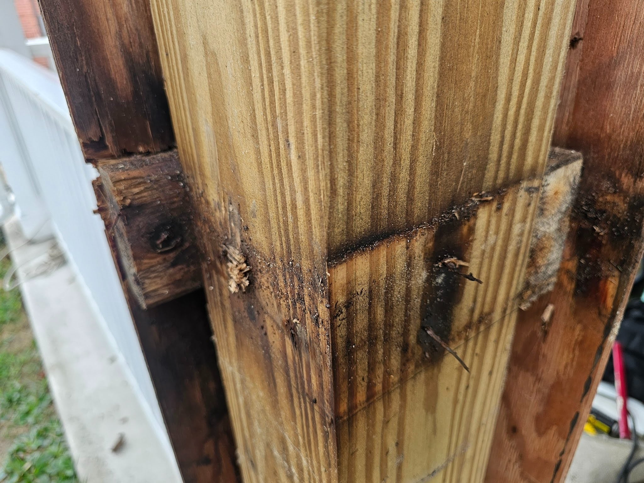 column has experienced so much moisture