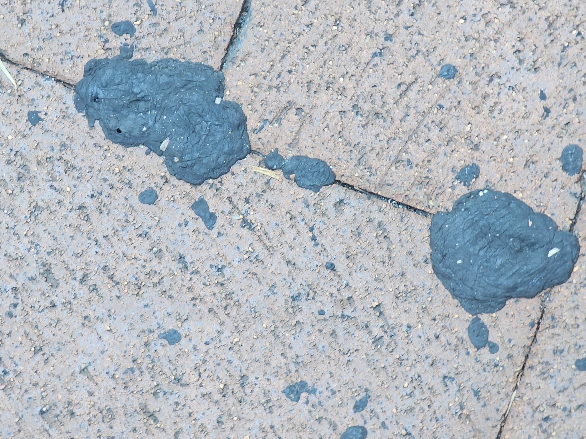 Asphalt melting through brick paving causing surface damage and displacement