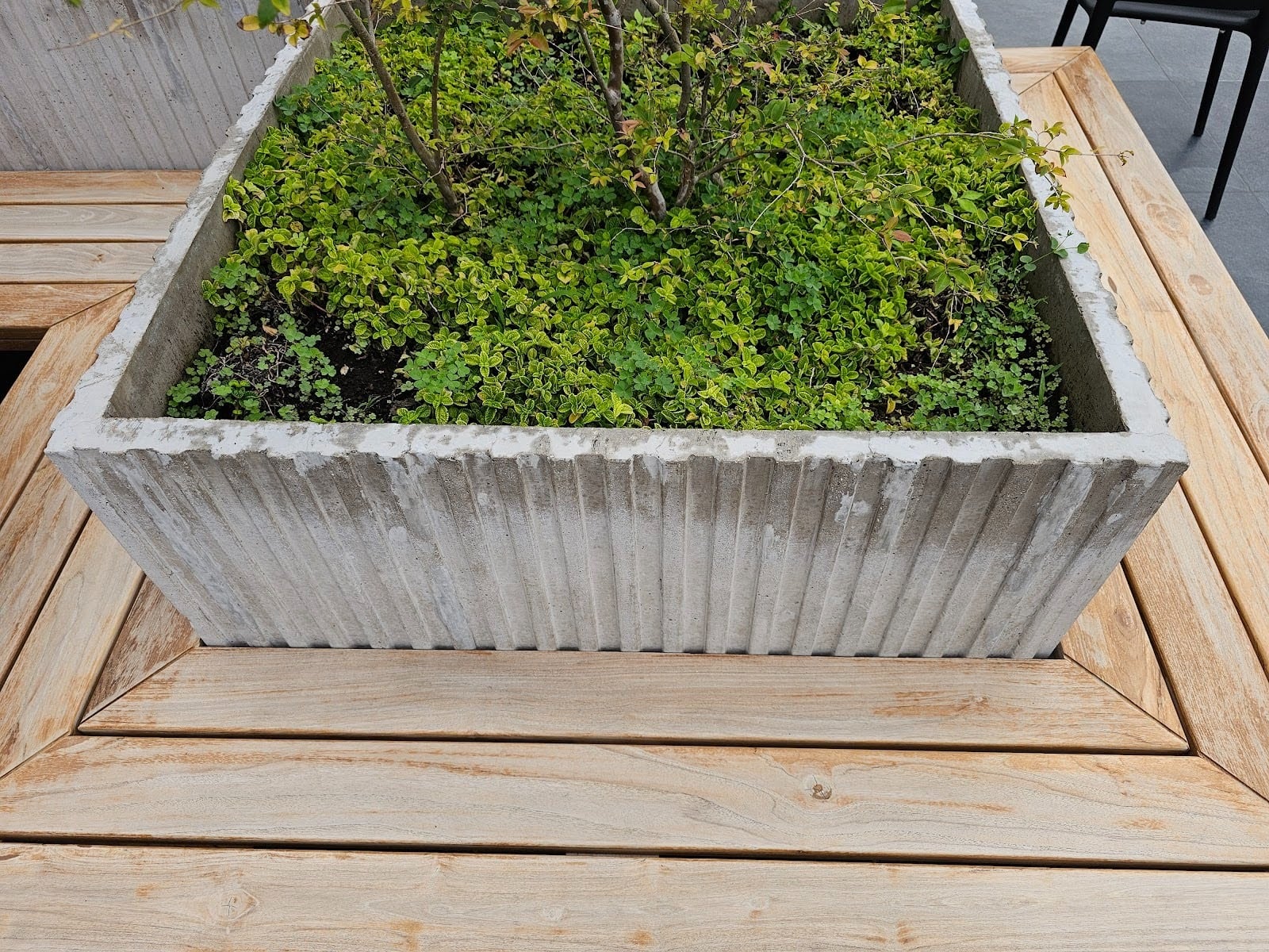 Built-in bench seating surrounding a square patio planter box