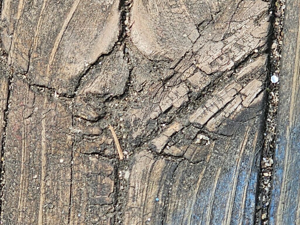 Close-up of worn wood decking before staining and sealing