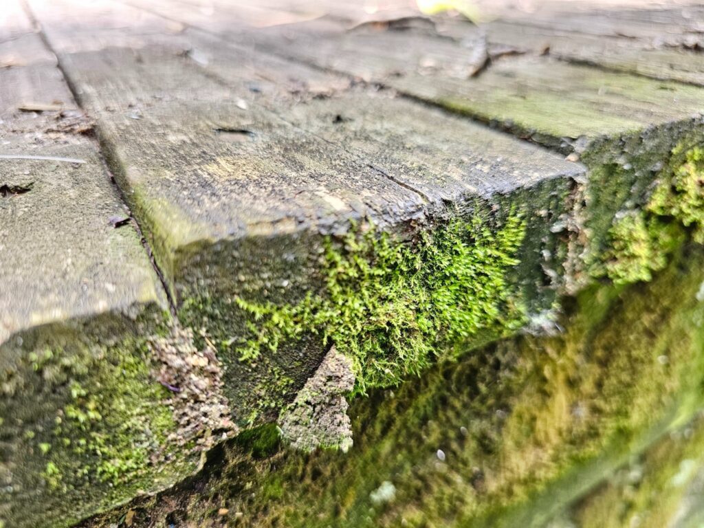 Detailed view of sealed and stained wood deck surface