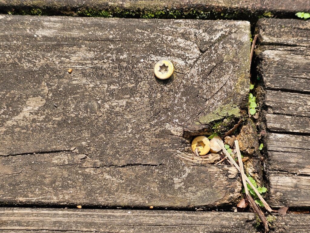 Sealed wood deck boards protected from moisture and weather