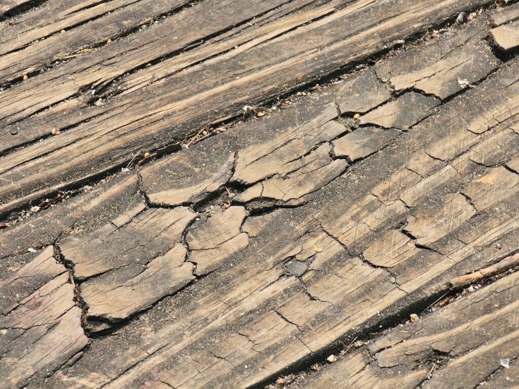 Wood deck showing signs of weathering and surface damage