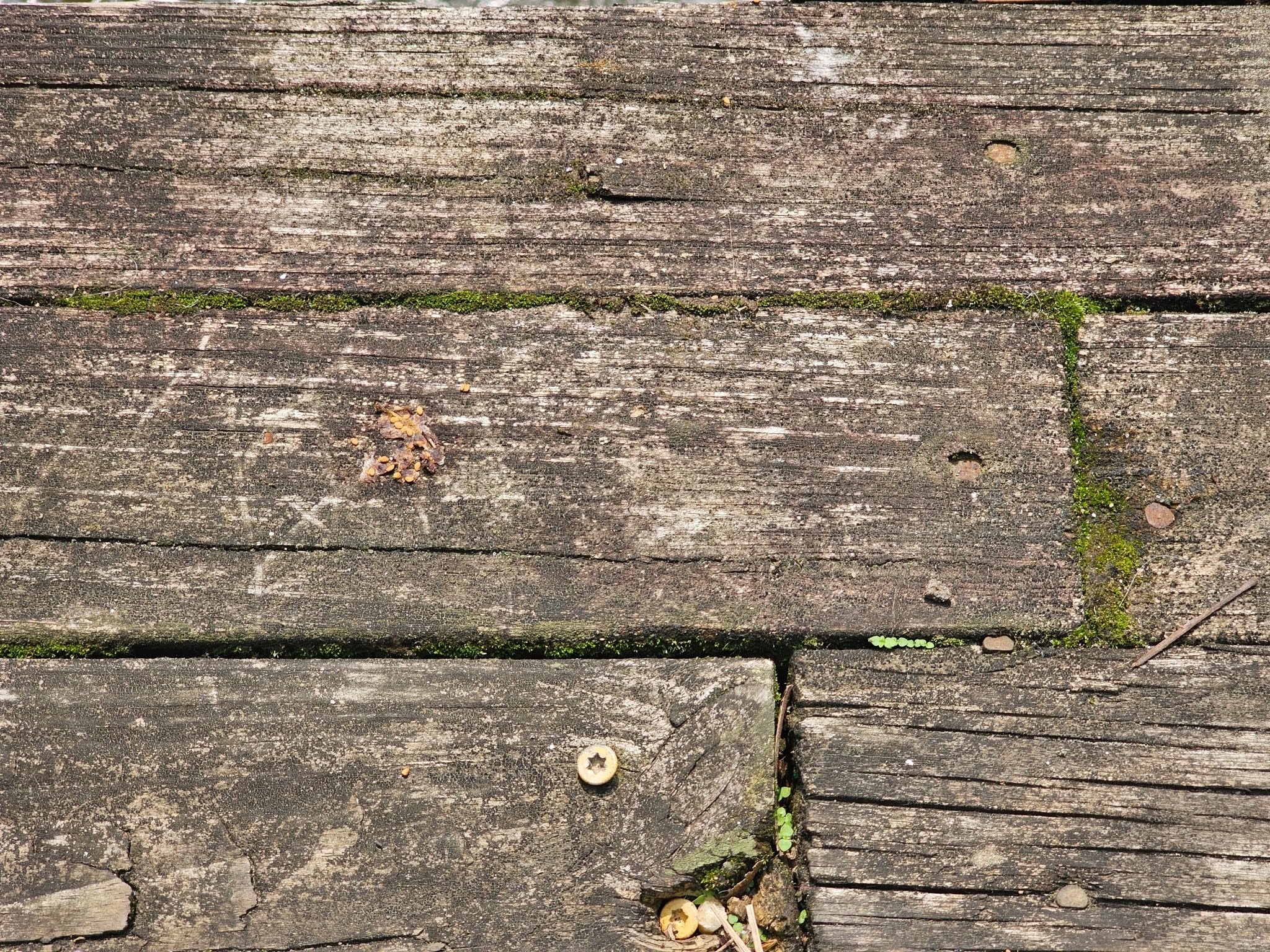 Wood deck boards receiving protective sealing treatment